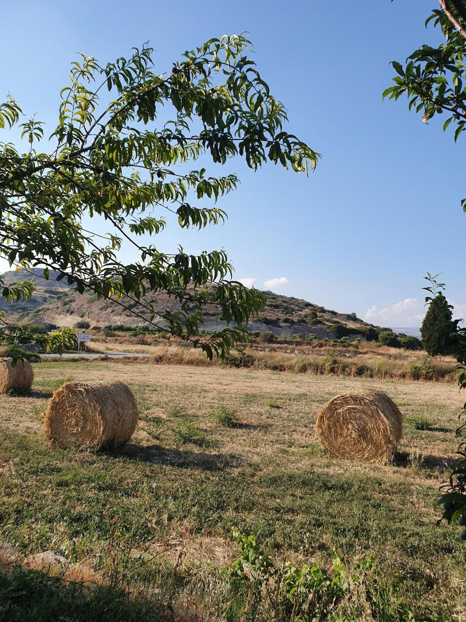 Vina Oliva Resort Pissouri Exteriör bild